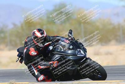 media/Oct-21-2024-Moto Forza (Mon) [[0d67646773]]/A Group/Session 3 (Turn 7 Inside Pans)/